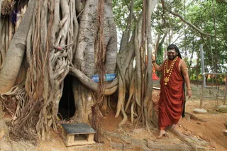 http://nithyananda.org/sites/default/files/photo-gallery/2016-8aug-2nd-nithyananda-diary_IMG_8199_bengaluru-aadheenam-nithyanandeshwara-temple-swamiji.jpg