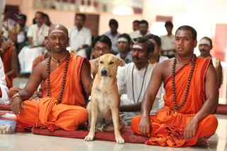 When Aadheenavasis tried to escort this new visitor out, with his unexhaustable compassion, His Holiness said the attentive dog could stay.