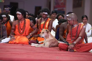 http://nithyananda.org/sites/default/files/photo-gallery/2016-8aug-5th-nithyananda-diary_IMG_9305_bengaluru-aadheenam-aadi-shaivam-tamil-evening-swamiji.jpg