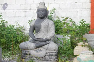 Photo 11705621