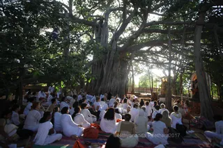 Photo 11705784