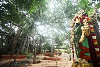 https://nithyananda.org/sites/default/files/photo-gallery/2017-10-Oct-14_nithyananda-diary_bengaluru-aadheenam_temple-photos_IMG_7380_1.JPG?1514900266