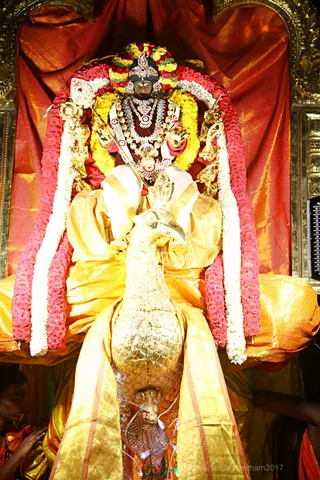 http://nithyananda.org/sites/default/files/photo-gallery/2017-10-Oct-31-nithyananda-diary_bengaluru-skanda-shashti-soora-samharam_IMG_9535.jpg