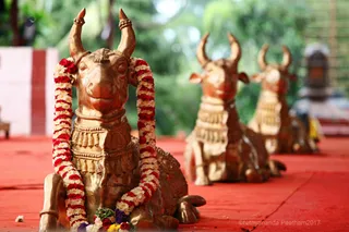 http://nithyananda.org/sites/default/files/photo-gallery/2017-10-Oct-7_nithyananda-diary_bengaluru-aadheenam_nithyanadeshwara-temple-deities_IMG_6943.JPG