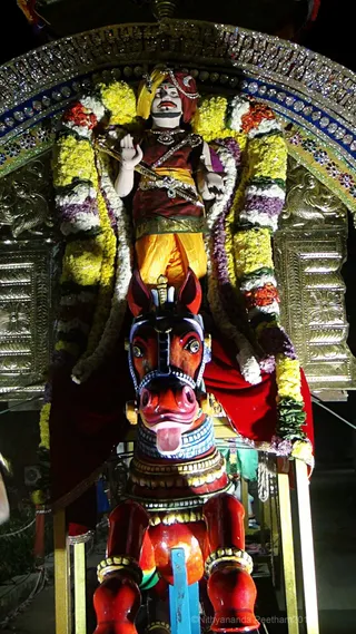 https://nithyananda.org/sites/default/files/photo-gallery/2017-11-Nov-29-nithyananda-diary_bengaluru-aadheenam_nithyanandeshwara-brahmotsavam-day-7-procession_DSC00131.jpg?1512132415