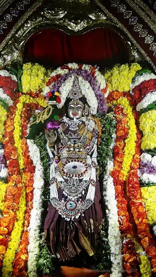 https://nithyananda.org/sites/default/files/photo-gallery/2017-11-Nov-29-nithyananda-diary_bengaluru-aadheenam_nithyanandeshwara-brahmotsavam-day-7-procession_DSC00139.jpg?1512132492