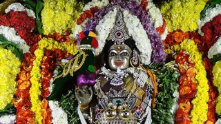 https://nithyananda.org/sites/default/files/photo-gallery/2017-11-Nov-29-nithyananda-diary_bengaluru-aadheenam_nithyanandeshwara-brahmotsavam-day-7-procession_DSC00143.jpg?1512132497