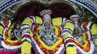 https://nithyananda.org/sites/default/files/photo-gallery/2017-11-Nov-29-nithyananda-diary_bengaluru-aadheenam_nithyanandeshwara-brahmotsavam-day-7-procession_DSC00145.jpg?1512132502