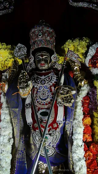 https://nithyananda.org/sites/default/files/photo-gallery/2017-11-Nov-29-nithyananda-diary_bengaluru-aadheenam_nithyanandeshwara-brahmotsavam-day-7-procession_DSC00162.jpg?1512132510
