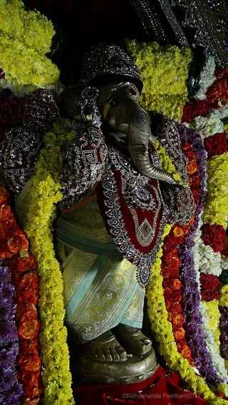 https://nithyananda.org/sites/default/files/photo-gallery/2017-11-Nov-29-nithyananda-diary_bengaluru-aadheenam_nithyanandeshwara-brahmotsavam-day-7-procession_DSC00171.jpg?1512132524