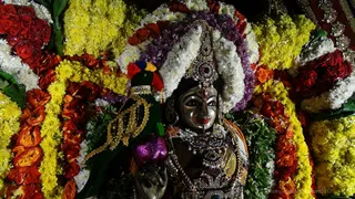 https://nithyananda.org/sites/default/files/photo-gallery/2017-11-Nov-29-nithyananda-diary_bengaluru-aadheenam_nithyanandeshwara-brahmotsavam-day-7-procession_DSC00184.jpg?1512132537