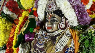 https://nithyananda.org/sites/default/files/photo-gallery/2017-11-Nov-29-nithyananda-diary_bengaluru-aadheenam_nithyanandeshwara-brahmotsavam-day-7-procession_DSC00190.jpg?1512132541