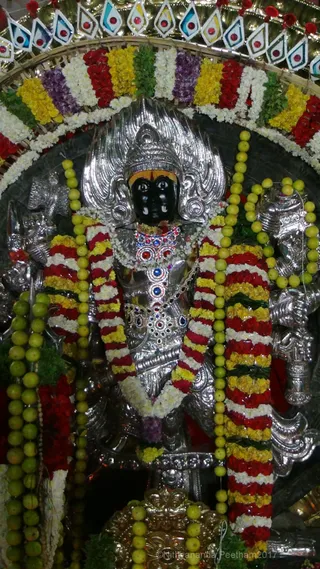 https://nithyananda.org/sites/default/files/photo-gallery/2017-12-Dec-02-nithyananda-diary_bengaluru-aadheenam_aadheenam-glimpses-procession_DSC00530.jpg?1512294176
