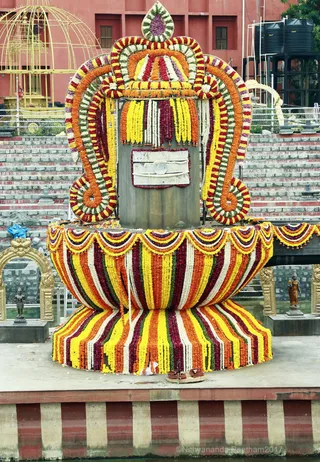 https://nithyananda.org/sites/default/files/photo-gallery/2017-12-Dec-02-nithyananda-diary_bengaluru-aadheenam_aadheenam-glimpses_0T7A9580.jpg?1512292349