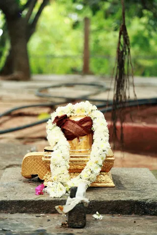 https://nithyananda.org/sites/default/files/photo-gallery/2017-12-Dec-02-nithyananda-diary_bengaluru-aadheenam_aadheenam-glimpses_0T7A9653.jpg?1512292391