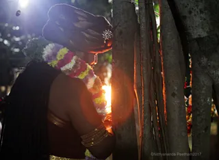 https://nithyananda.org/sites/default/files/photo-gallery/2017-12-Dec-02-nithyananda-diary_bengaluru-aadheenam_barani-deepam-nithyanandeshwara-temple_IMG_9235.jpg?1512289532