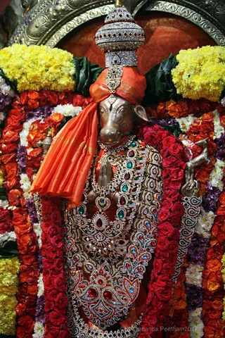 https://nithyananda.org/sites/default/files/photo-gallery/2017-12-Dec-02-nithyananda-diary_bengaluru-aadheenam_barani-deepam-nithyanandeshwara-temple_IMG_9425.jpg?1512289690