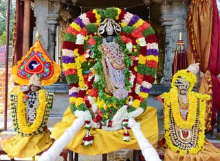 http://nithyananda.org/sites/default/files/photo-gallery/2017-1jan-11th-nithyananda-diary_DSC_4138_bengaluru-aadheenam-arudra-darshan-procession.jpg