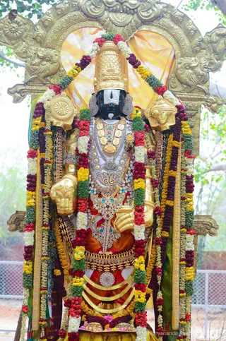 http://nithyananda.org/sites/default/files/photo-gallery/2017-1jan-13th-nithyananda-diary_DSC_5626_bengaluru-aadheenam-temple-venkateshwara.jpg