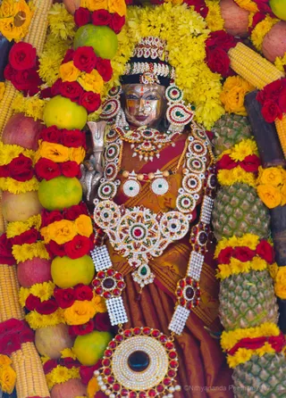 http://nithyananda.org/sites/default/files/photo-gallery/2017-1jan-14th-nithyananda-diary_DSC_6237_bengaluru-aadheenam-temple-pongal-festival-devi.jpg