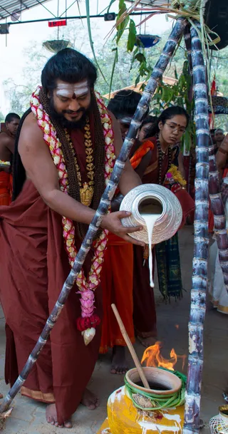 His Holiness pours the milk, starting the cooking process of the rice in traditional clay pots and open flames.