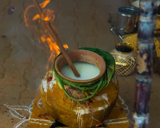 http://nithyananda.org/sites/default/files/photo-gallery/2017-1jan-14th-nithyananda-diary_DSC_6475_bengaluru-aadheenam-temple-pongal-festival.jpg