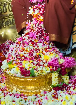 http://nithyananda.org/sites/default/files/photo-gallery/2017-1jan-15th-nithyananda-diary_DSC_7812_bengaluru-aadheenam-kalpataru-darshan-swamiji.jpg