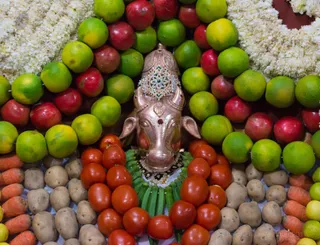 http://nithyananda.org/sites/default/files/photo-gallery/2017-1jan-15th-nithyananda-diary_DSC_8251_bengaluru-aadheenam-adhikaara-nandi-alankar-puja.jpg