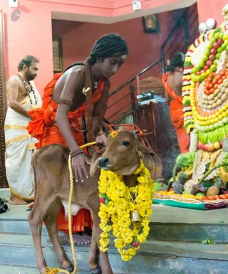 http://nithyananda.org/sites/default/files/photo-gallery/2017-1jan-15th-nithyananda-diary_DSC_8288_bengaluru-aadheenam-adhikaara-nandi-alankar-puja.jpg