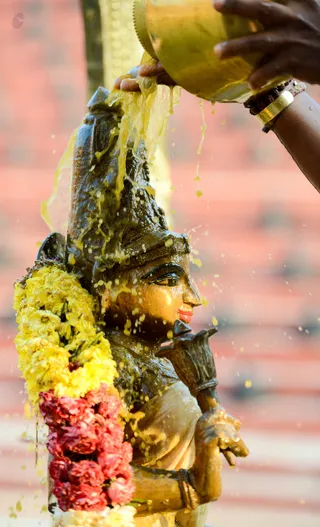 http://nithyananda.org/sites/default/files/photo-gallery/2017-1jan-2nd-nithyananda-diary_DSC_9151_bengaluru-aadheenam-rudrabhishekam.jpg