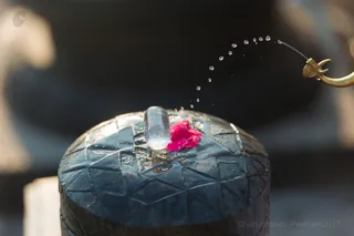 February 20 2017