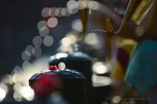 Rudrabhishekam