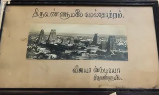 Photo 11710621