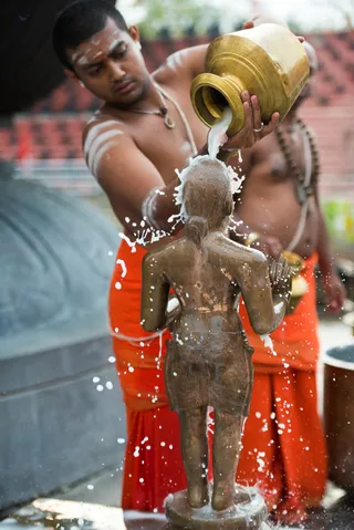 http://nithyananda.org/sites/default/files/photo-gallery/2017-3apr-17th-nithyananda-diary_DSC_2093_bengaluru-aadheenam-rudrabhishekam.jpg