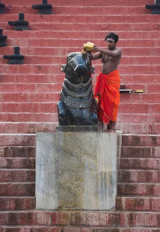 http://nithyananda.org/sites/default/files/photo-gallery/2017-3apr-17th-nithyananda-diary_DSC_2106_bengaluru-aadheenam-rudrabhishekam.jpg