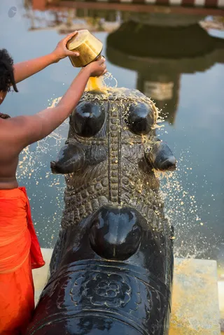 http://nithyananda.org/sites/default/files/photo-gallery/2017-3apr-17th-nithyananda-diary_DSC_2174_bengaluru-aadheenam-rudrabhishekam.jpg