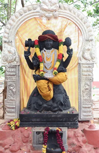 Photo 11711150