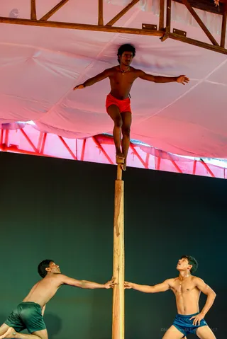 Mallakambha Yoga Demonstration