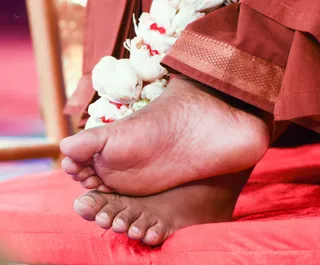 The Lotus Feet of the Avatar