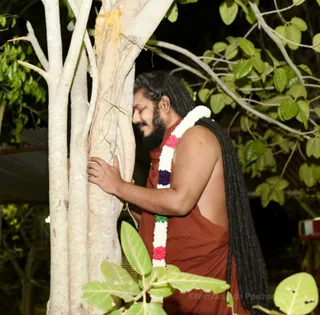 Tiruvannamalai Aadheenam - Sacred Banyan Tree