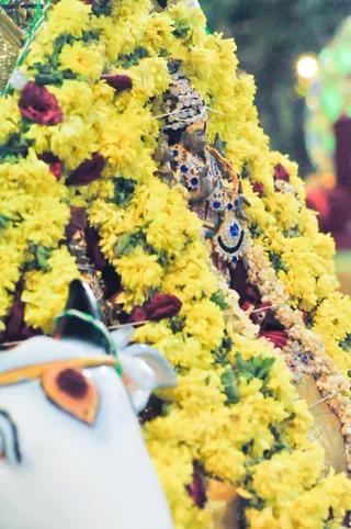 Shani Pradosham Procession