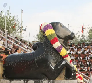 Rudrabhishakam - Nandi