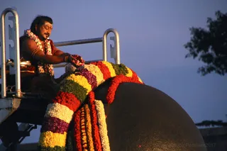 http://nithyananda.org/sites/default/files/photo-gallery/2017-5may-24th-nithyananda-diary_IMG_0513_bengaluru-aadheenam-sadashivatva-day12-VHP-nithyanandam-kids-day4-rudrabhishekam-swamiji.jpg