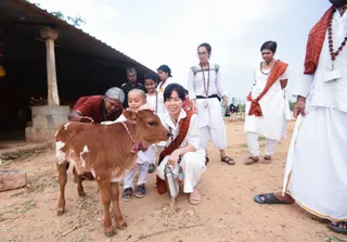 Campus Tour - Goshala (sacred cowshed)