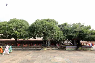 http://nithyananda.org/sites/default/files/photo-gallery/2018-01-Jan-03-nithyananda-diary_bengaluru-aadheenam_visit-annamalaiyar-temple_7T9A0047.JPG