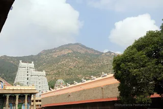 http://nithyananda.org/sites/default/files/photo-gallery/2018-01-Jan-03-nithyananda-diary_bengaluru-aadheenam_visit-annamalaiyar-temple_7T9A0048.JPG