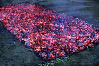 http://nithyananda.org/sites/default/files/photo-gallery/2018-01-Jan-03-nithyananda-diary_tiruvannamalai-aadheenam_fire-walking-lemon-piercing_7T7A3779.jpg