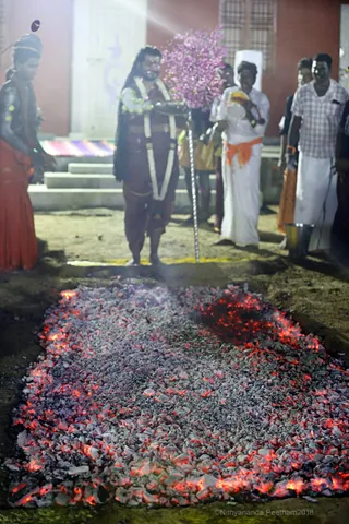 http://nithyananda.org/sites/default/files/photo-gallery/2018-01-Jan-03-nithyananda-diary_tiruvannamalai-aadheenam_fire-walking-lemon-piercing_7T7A3852.jpg