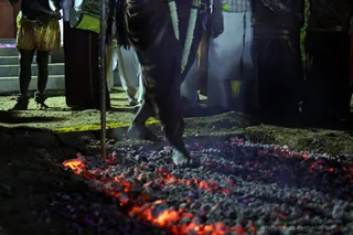 http://nithyananda.org/sites/default/files/photo-gallery/2018-01-Jan-03-nithyananda-diary_tiruvannamalai-aadheenam_fire-walking-lemon-piercing_7T9A0040.jpg