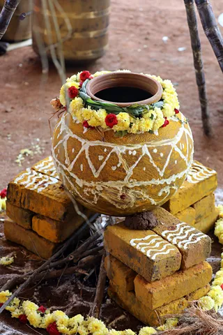 http://nithyananda.org/sites/default/files/photo-gallery/2018-01-Jan-14-nithyananda-diary_tiruvannamalai-aadheenam_pongal-celebrations_7T7A9229.jpg